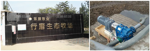 尊龙凯时机器弹性体粪污干清泵广泛应用于畜牧业.jpg