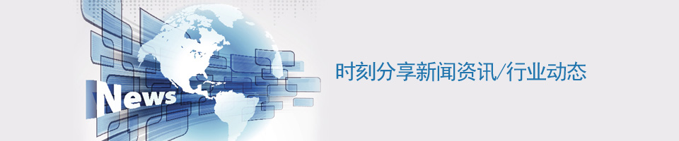 尊龙凯时凸轮转子泵