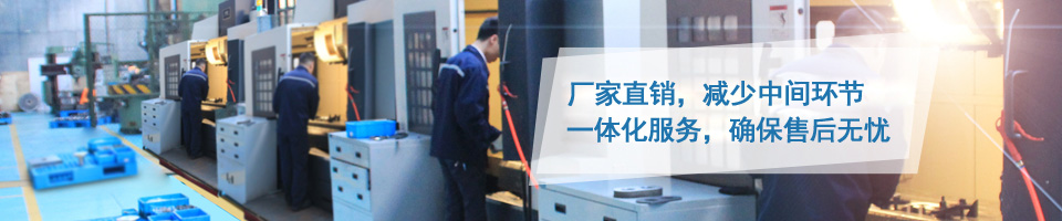 尊龙凯时凸轮转子泵