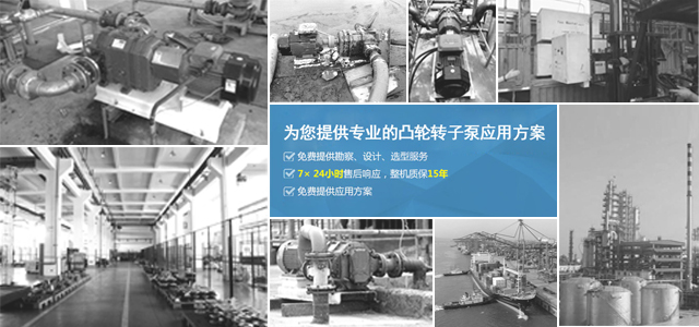 凸轮转子泵制造商