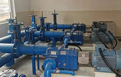 回流污泥凸轮泵